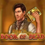 Book Of Dead game artwork