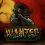 Wanted Dead Or A Wild game artwork